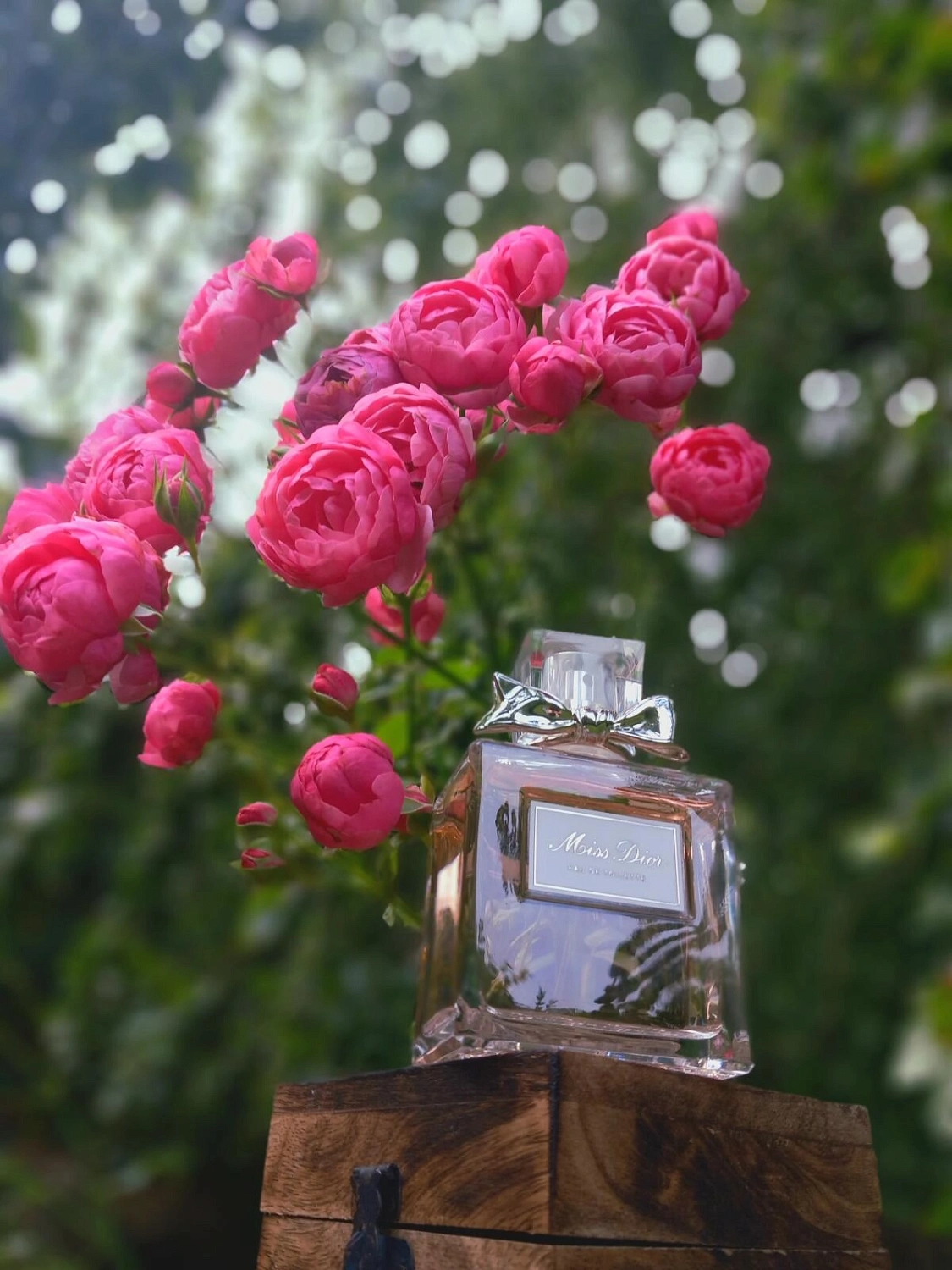 Christian Dior Miss Dior Eau de Toilette 2019