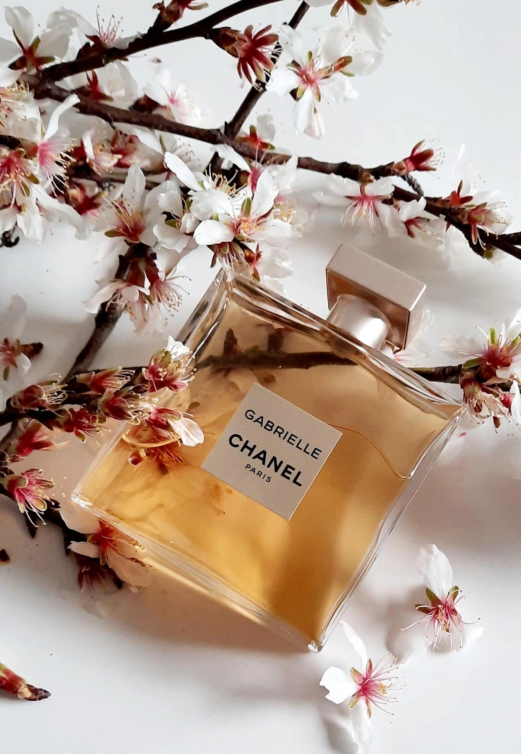Chanel Gabrielle