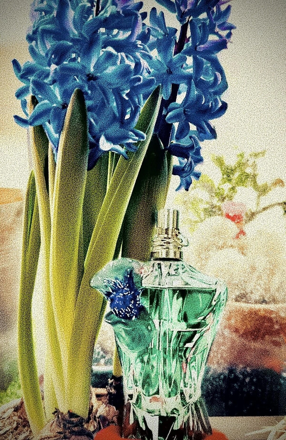 Jean Paul Gaultier Le Beau Flower Edition
