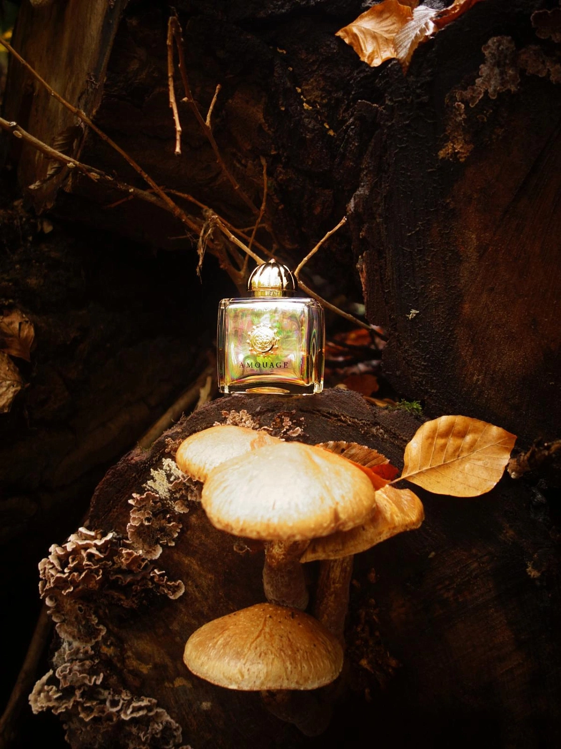 Amouage Fate for Women