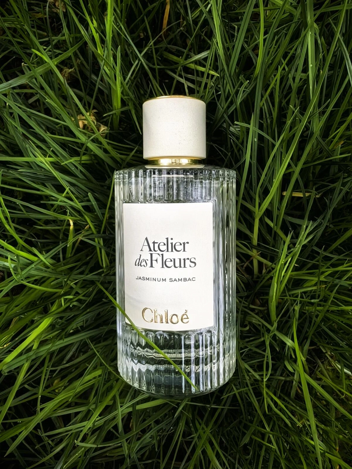 Chloé Atelier Des Fleurs Jasminum Sambac