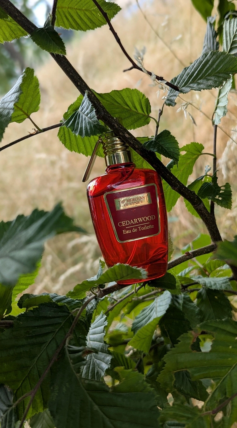 The Merchant of Venice Cedarwood