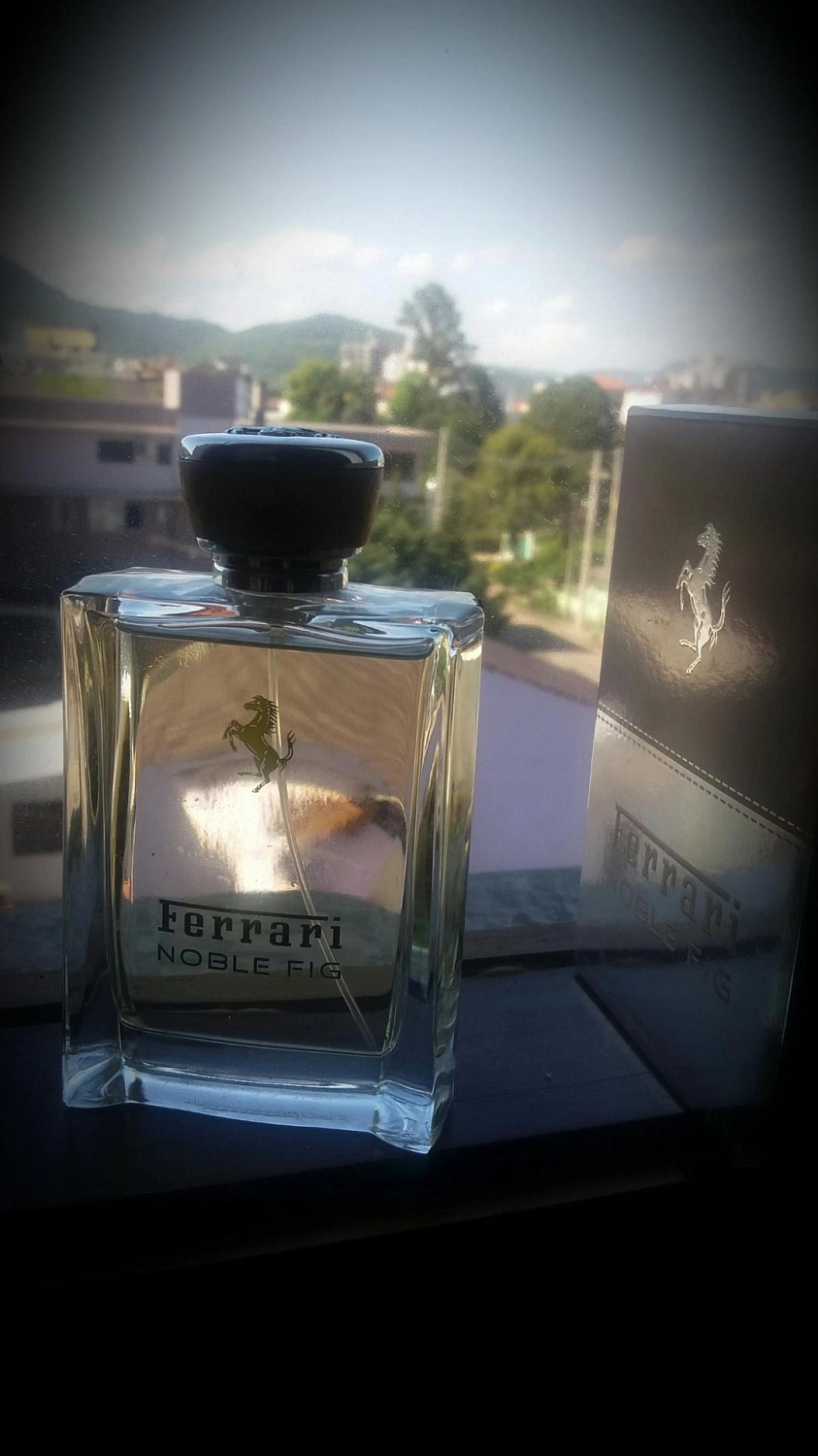 Ferrari Noble Fig