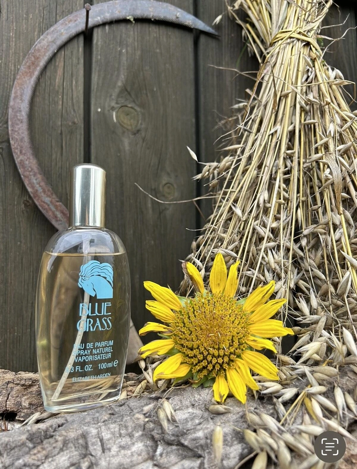 Elizabeth Arden Blue Grass