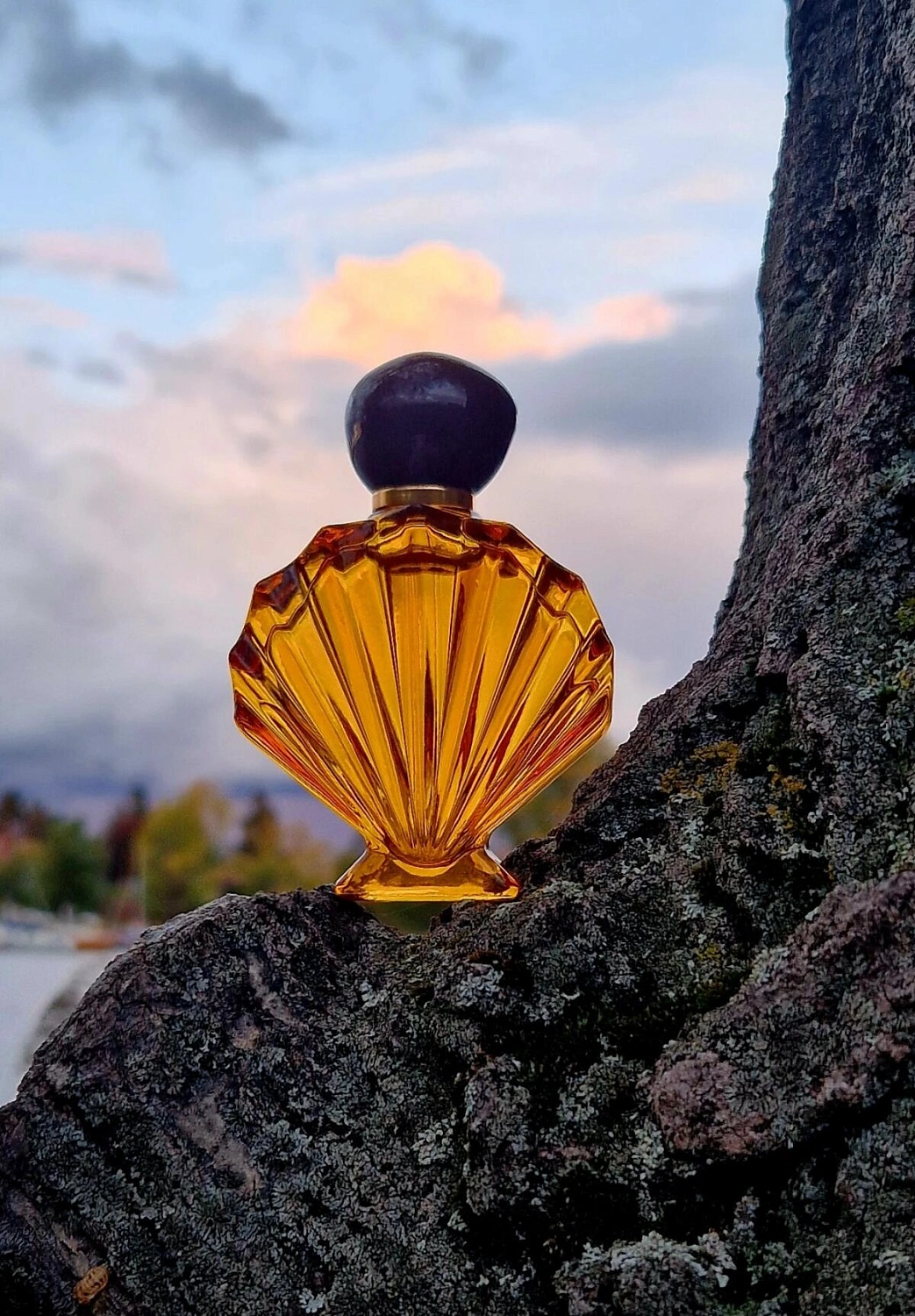 Nina Ricci Venus
