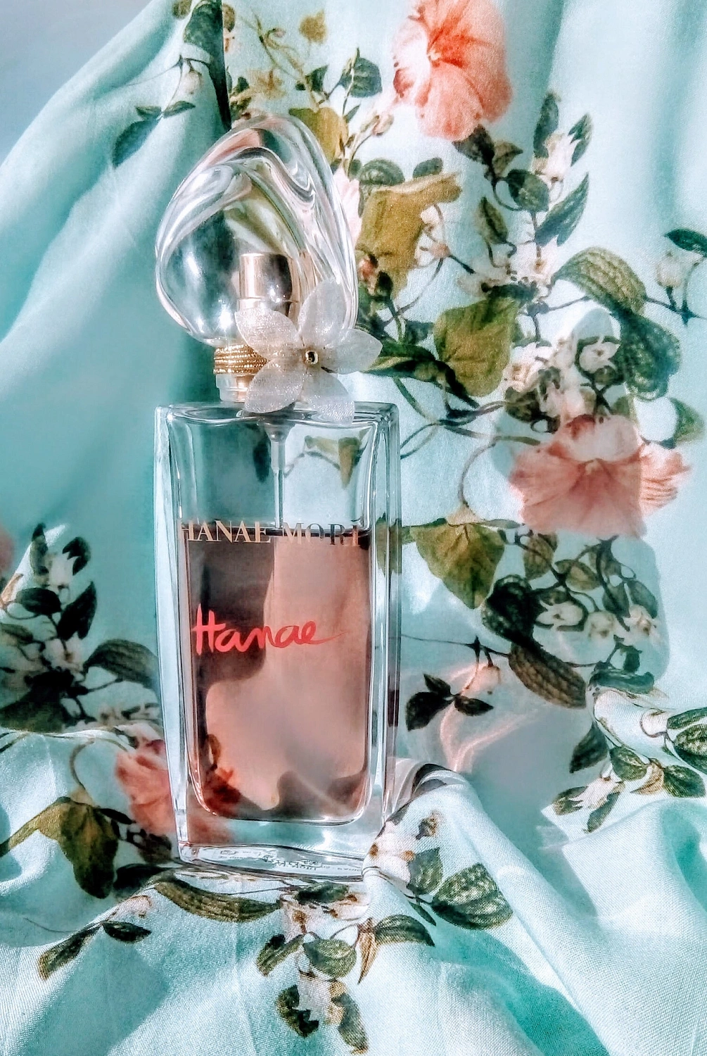 Hanae by Hanae Mori