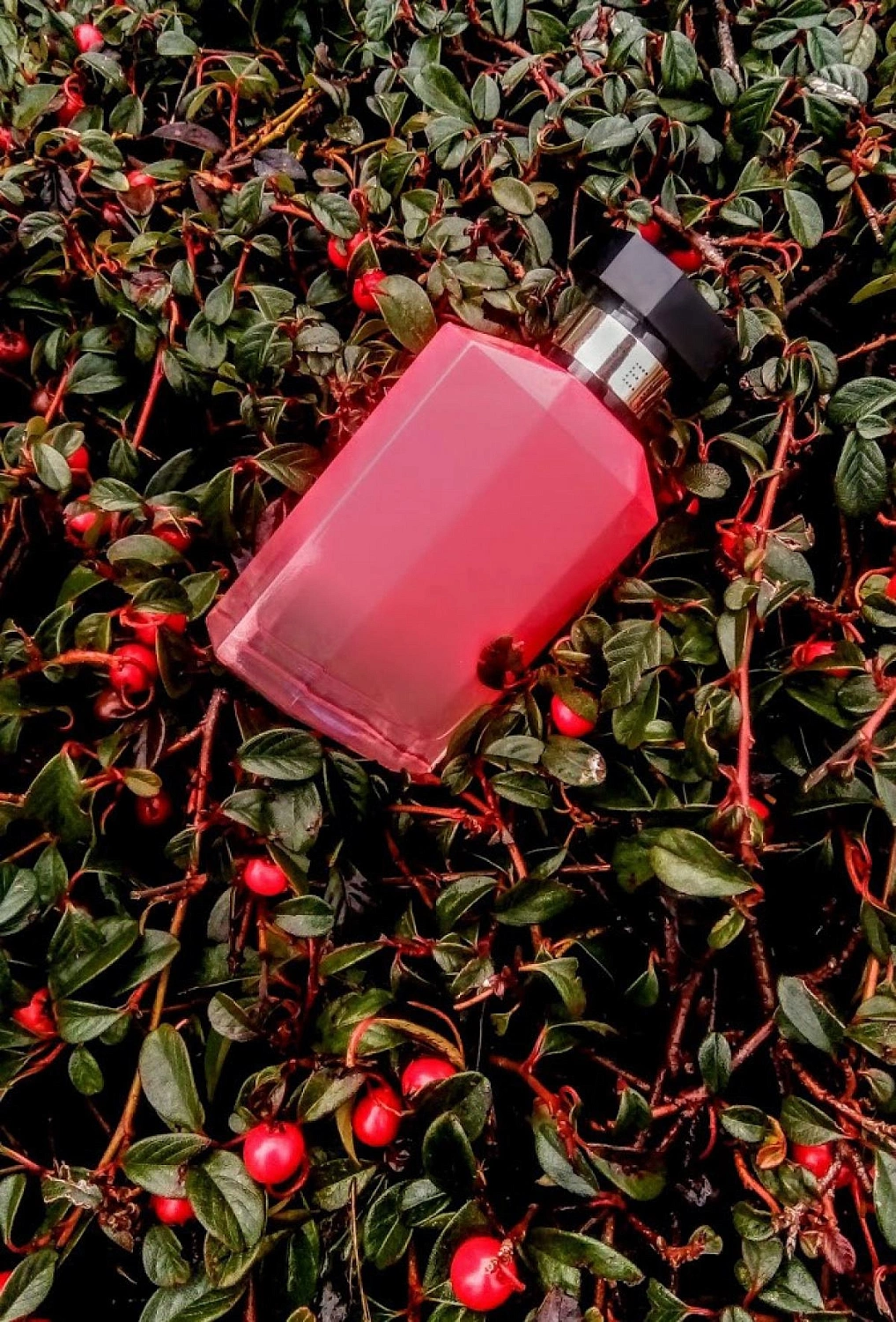 Stella McCartney Stella Peony