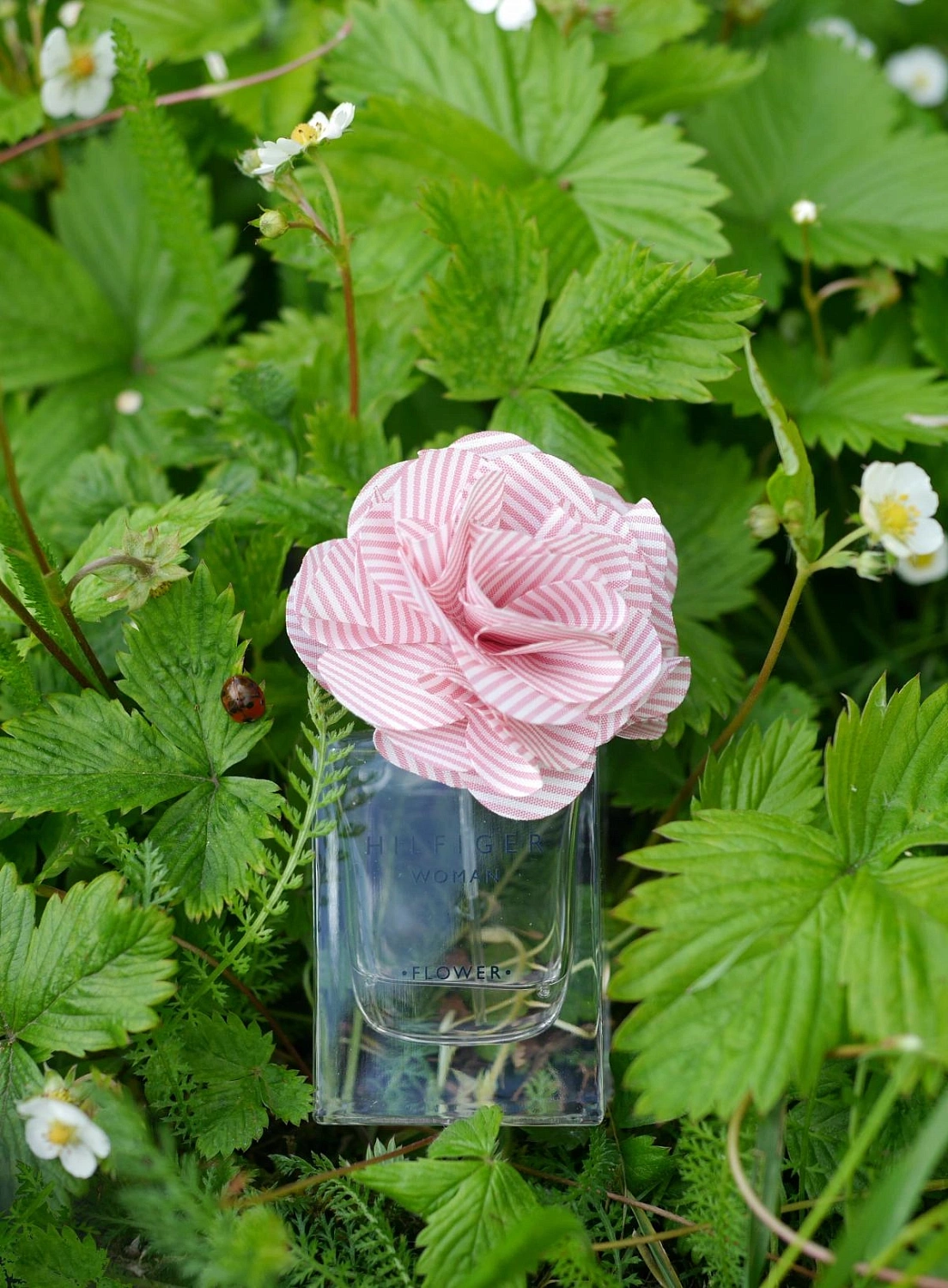 Tommy Hilfiger Flower Rose