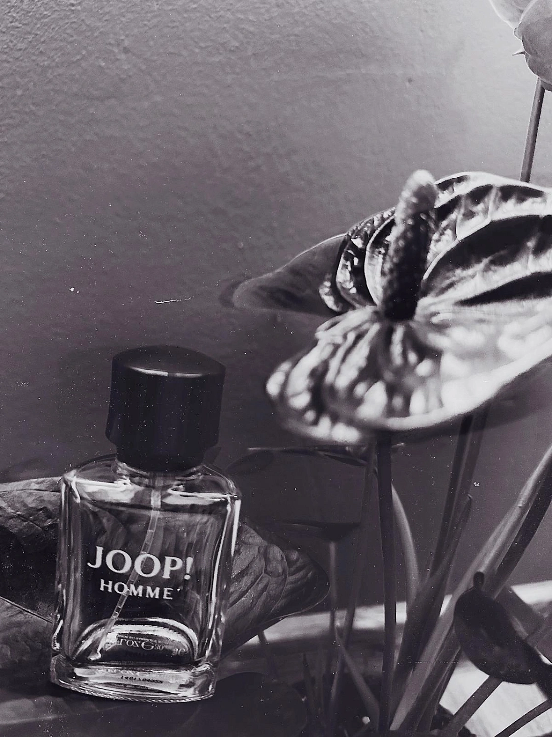 Joop! Homme