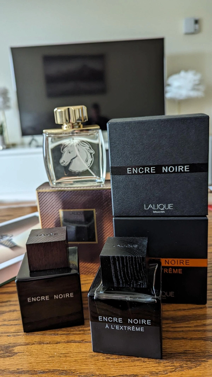 Lalique Pour Homme Equus