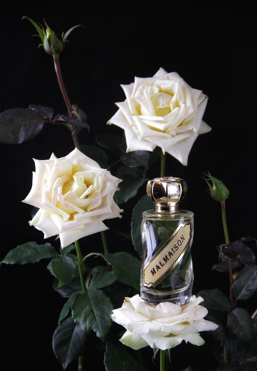 12 Parfumeurs Français Malmaison