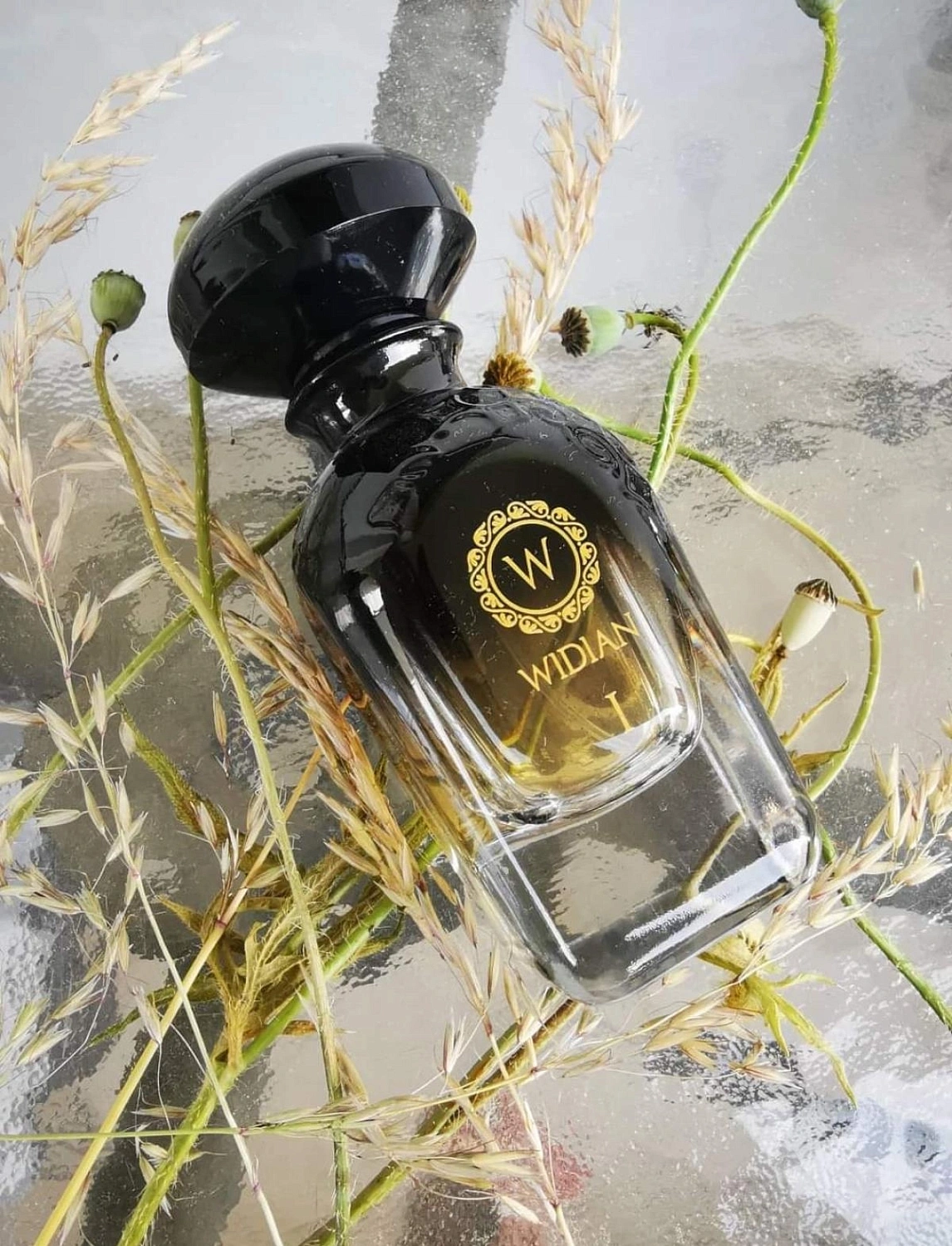 AJ Arabia Widian Black I