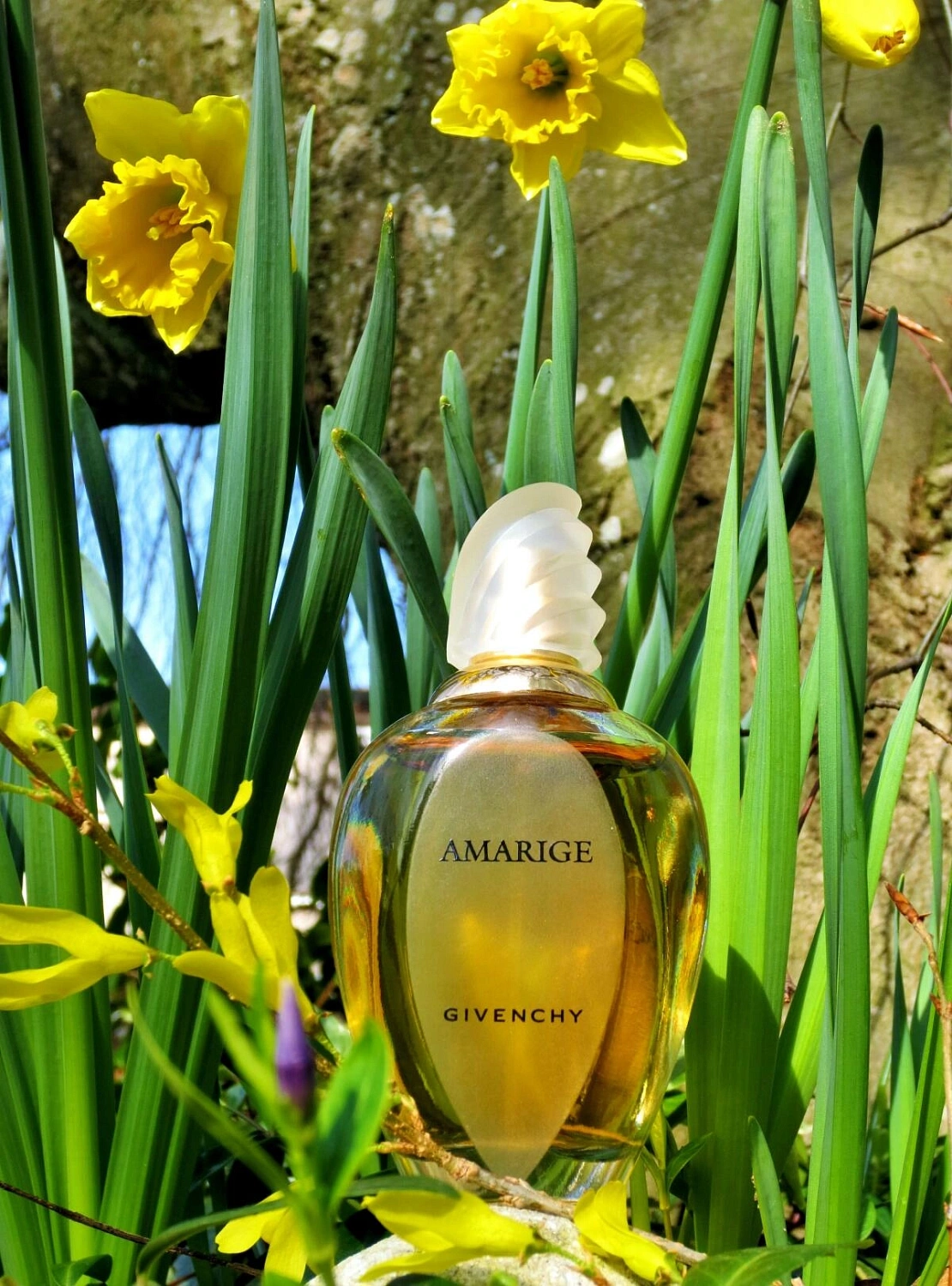 Givenchy Amarige