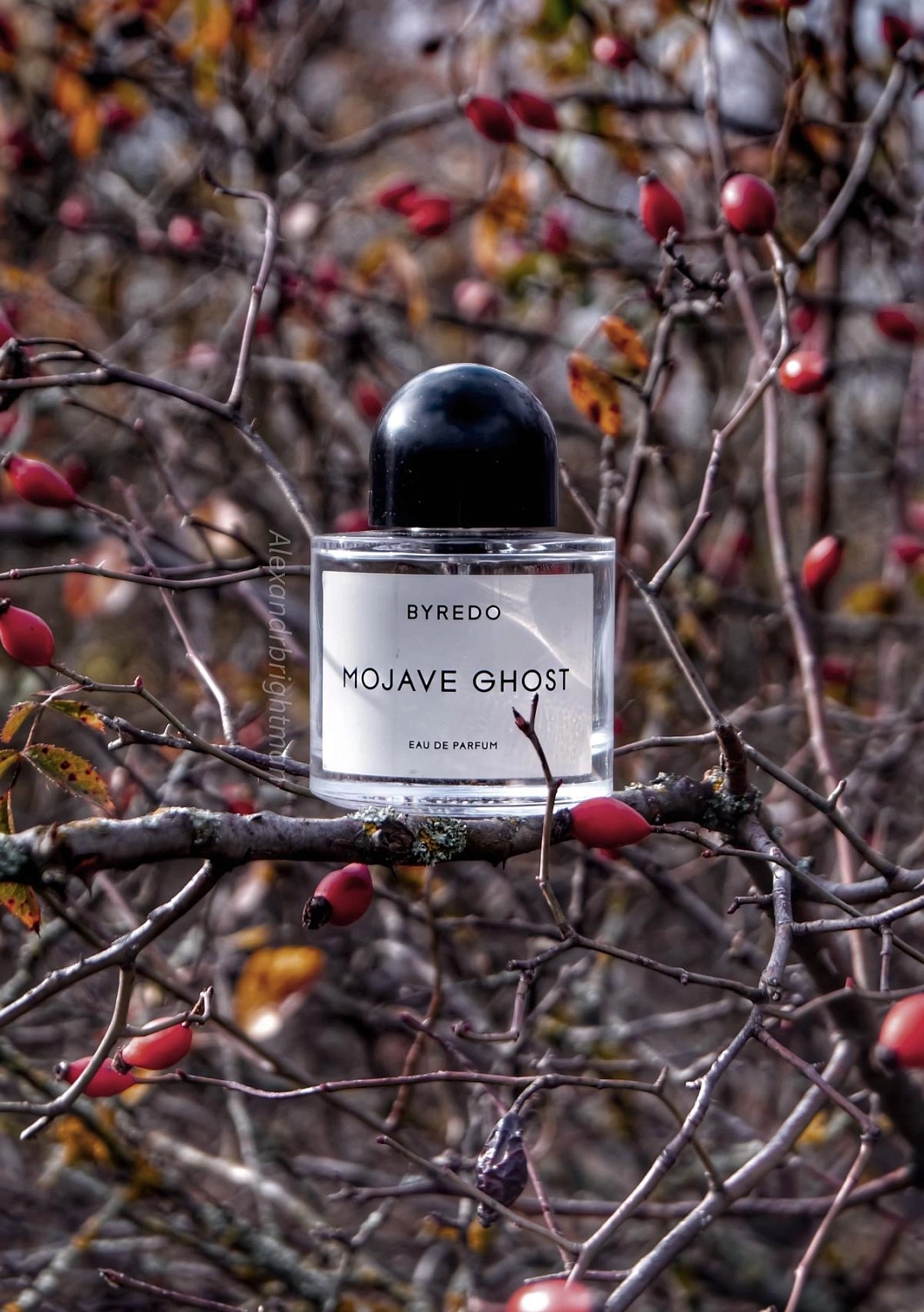 BYREDO Mojave Ghost