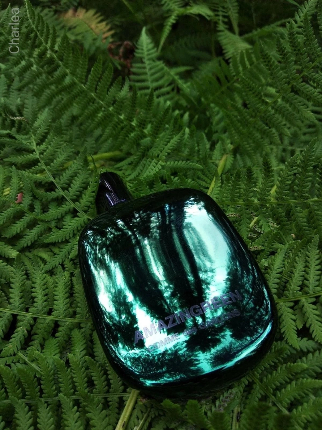Comme des Garçons Amazingreen
