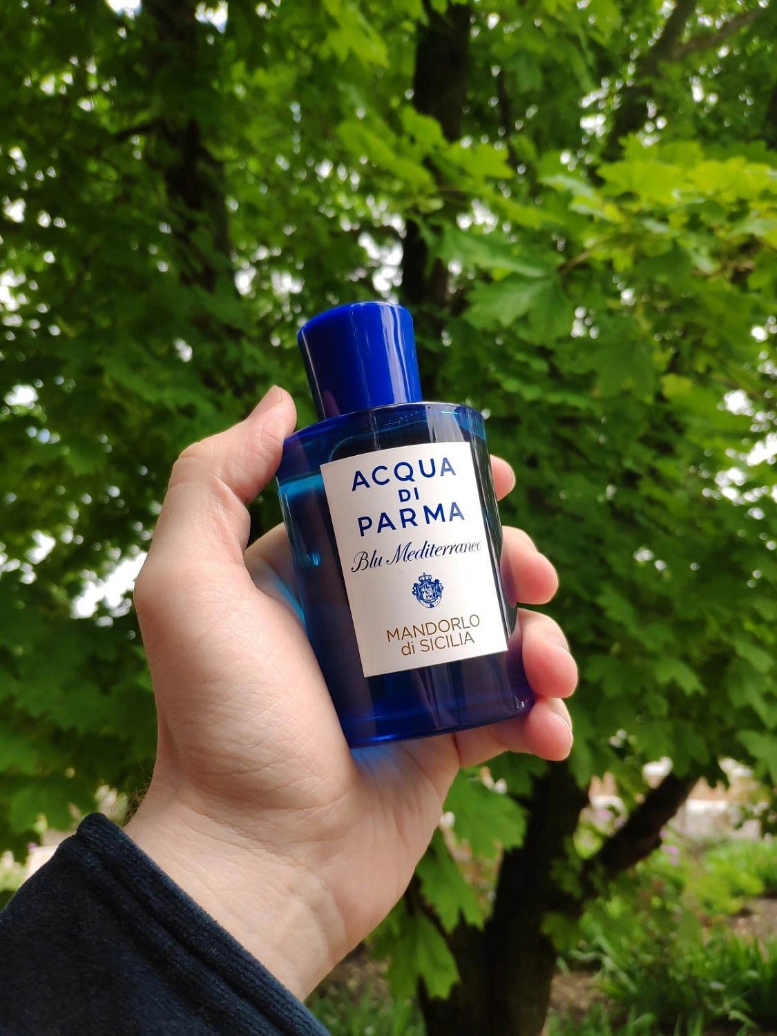 Acqua di Parma Mandorlo di Sicilia