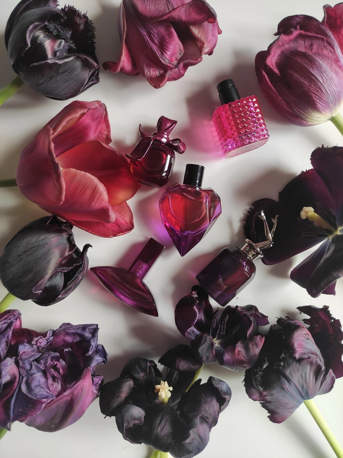 Valentino Donna Born In Roma Extradose