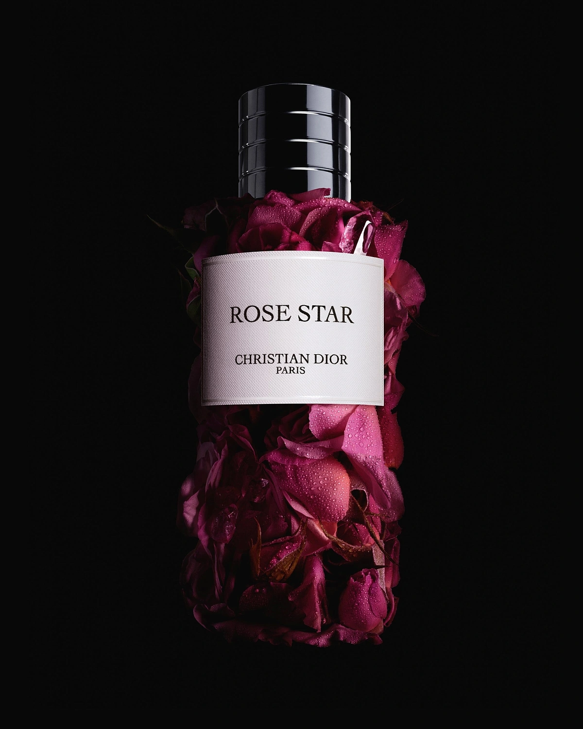 Christian Dior Rose Star