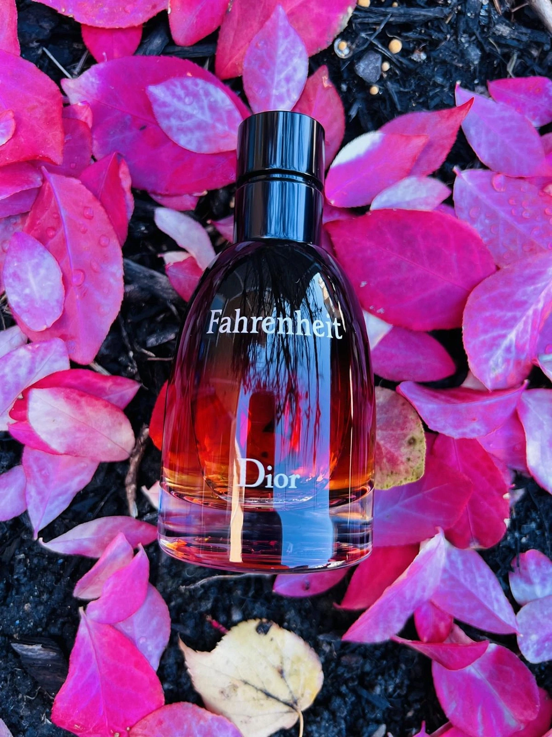 Christian Dior Fahrenheit Le Parfum