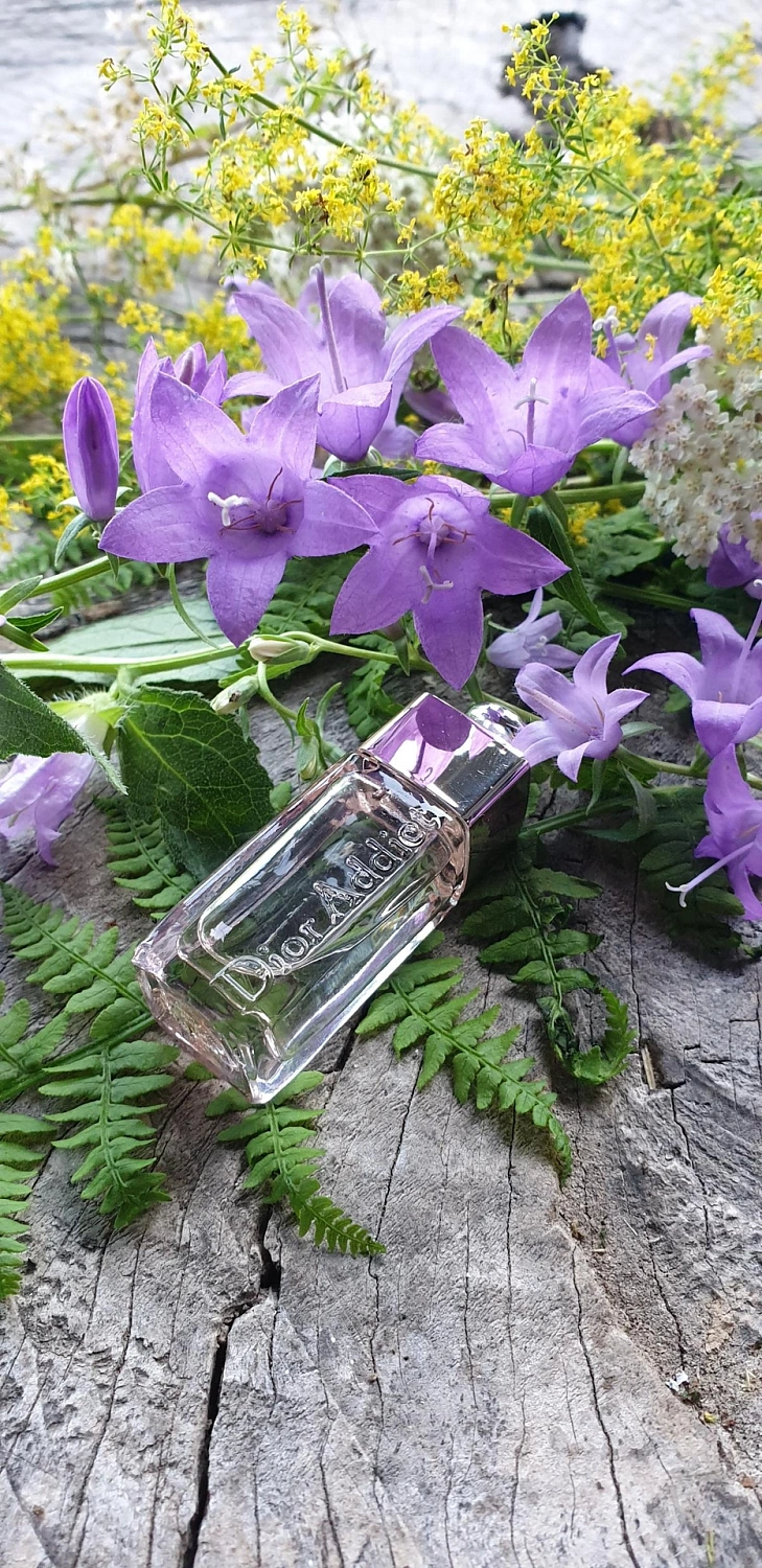 Christian Dior Addict Shine