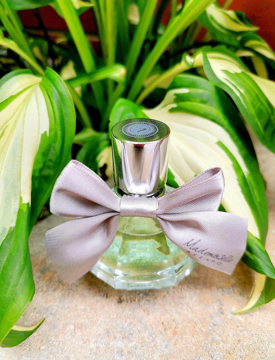 Azzaro Mademoiselle L'Eau Tres Florale