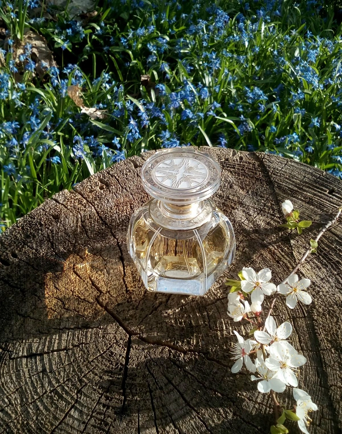 Living Lalique