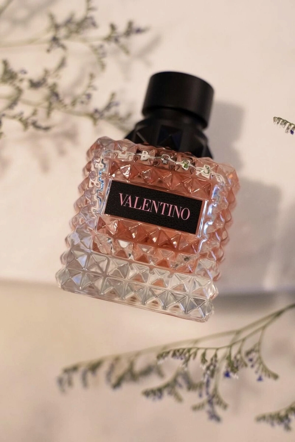 Valentino Donna Born In Roma