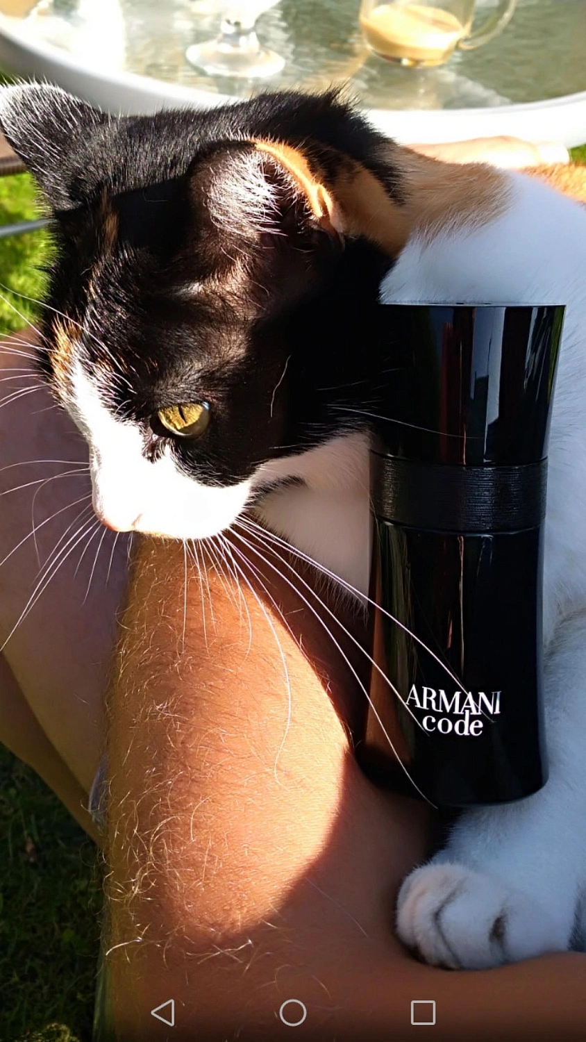 Armani Black Code