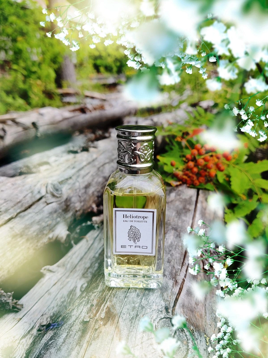 Etro Heliotrope