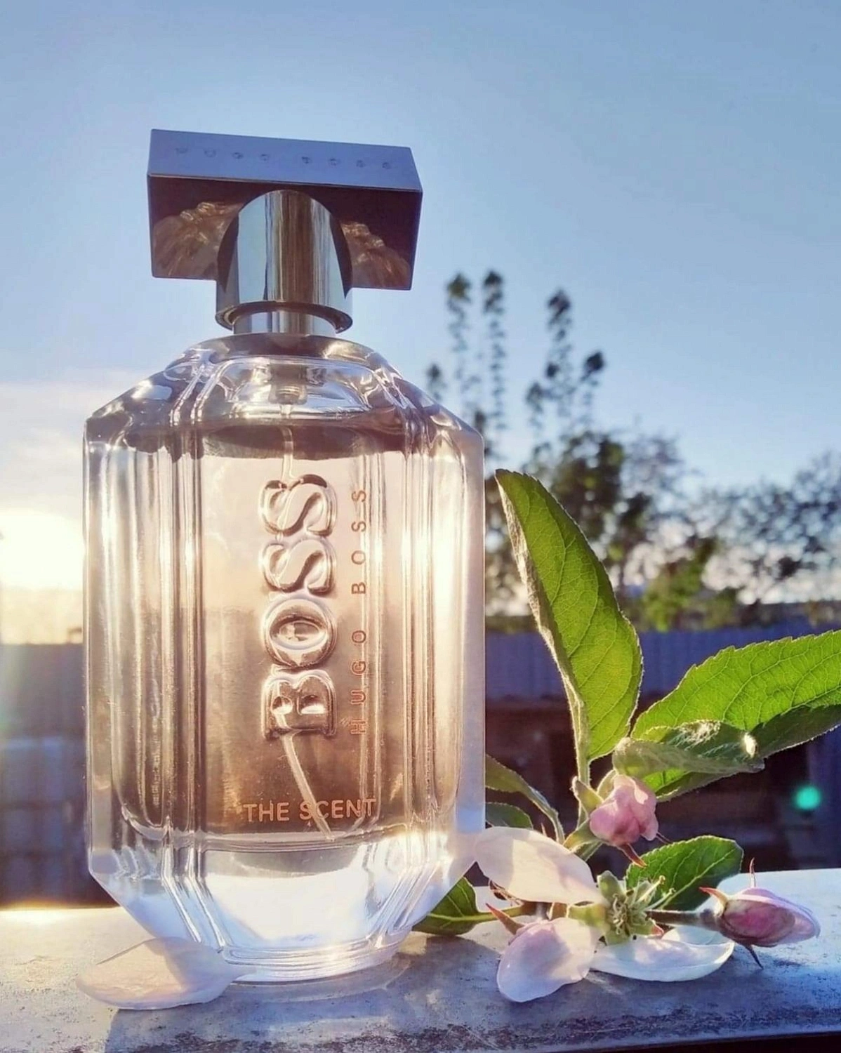 Hugo Boss The Scent For Her