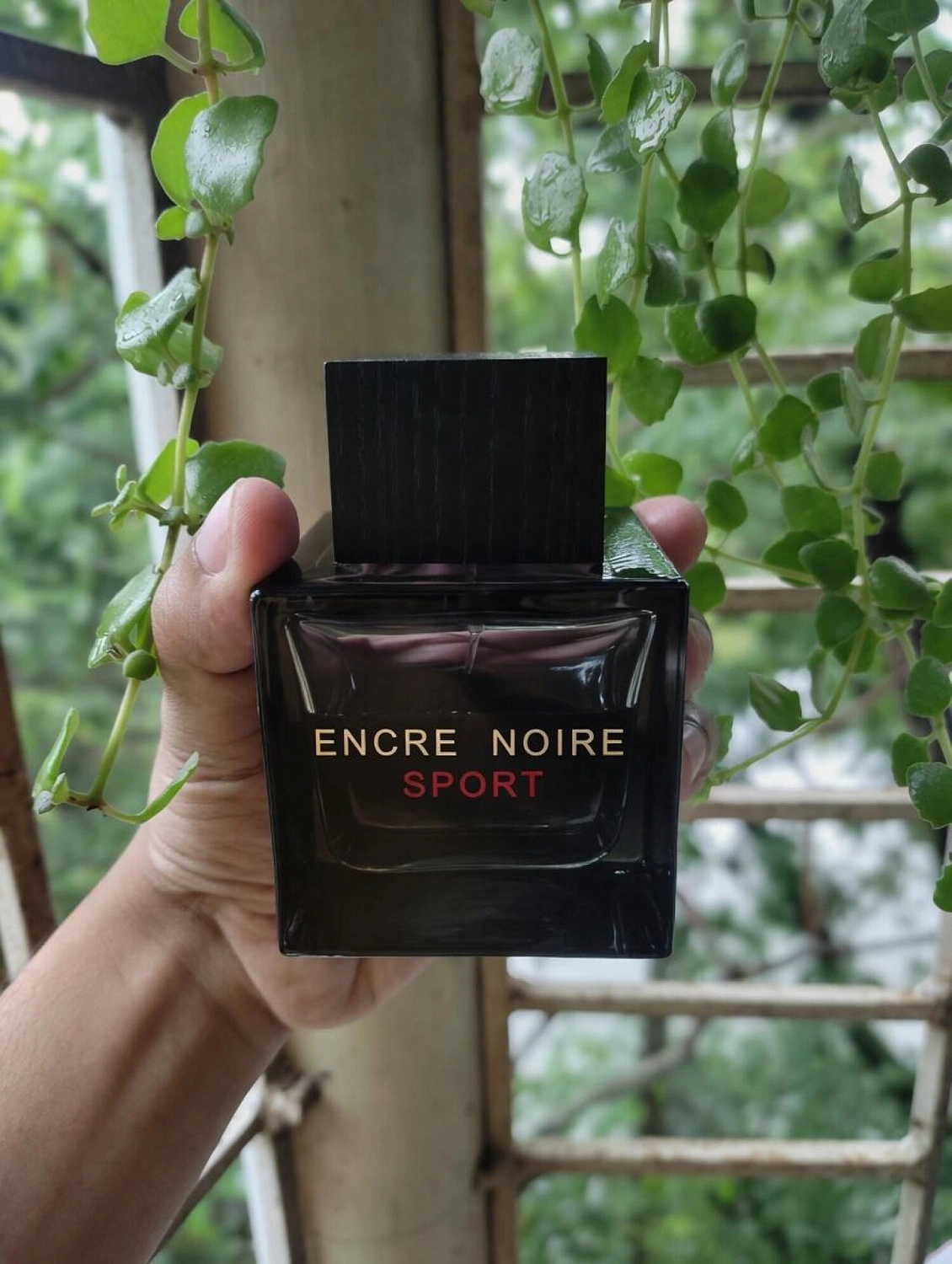 Lalique Encre Noire Sport
