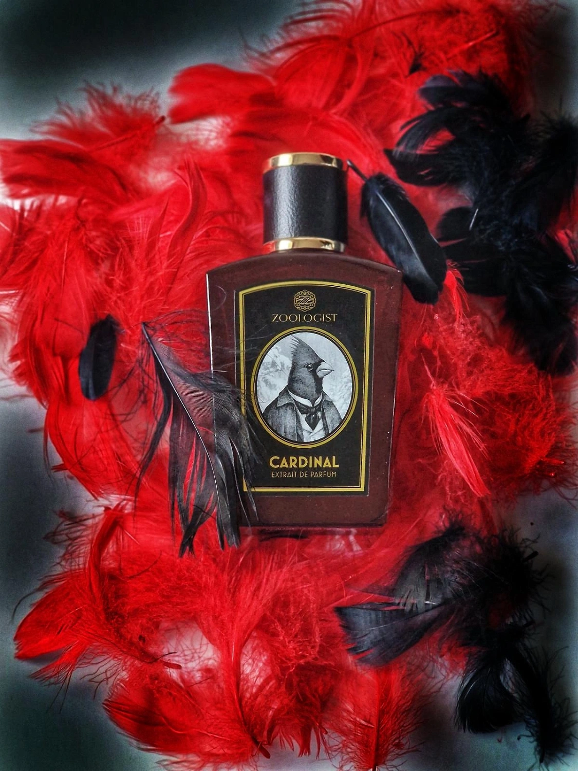 Zoologist Perfumes Cardinal