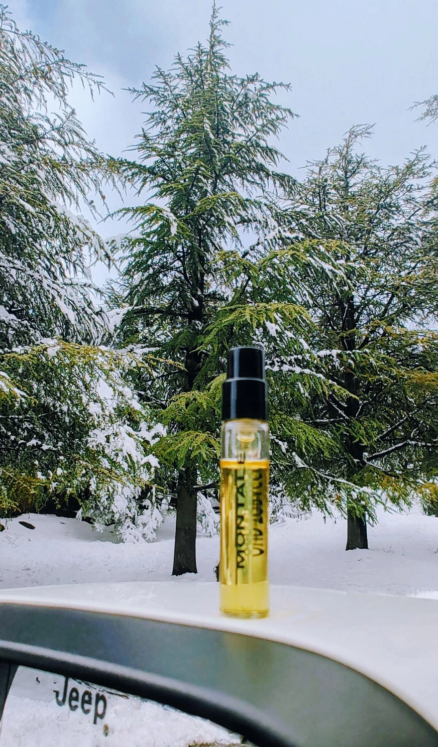 Montale Oud Tobacco