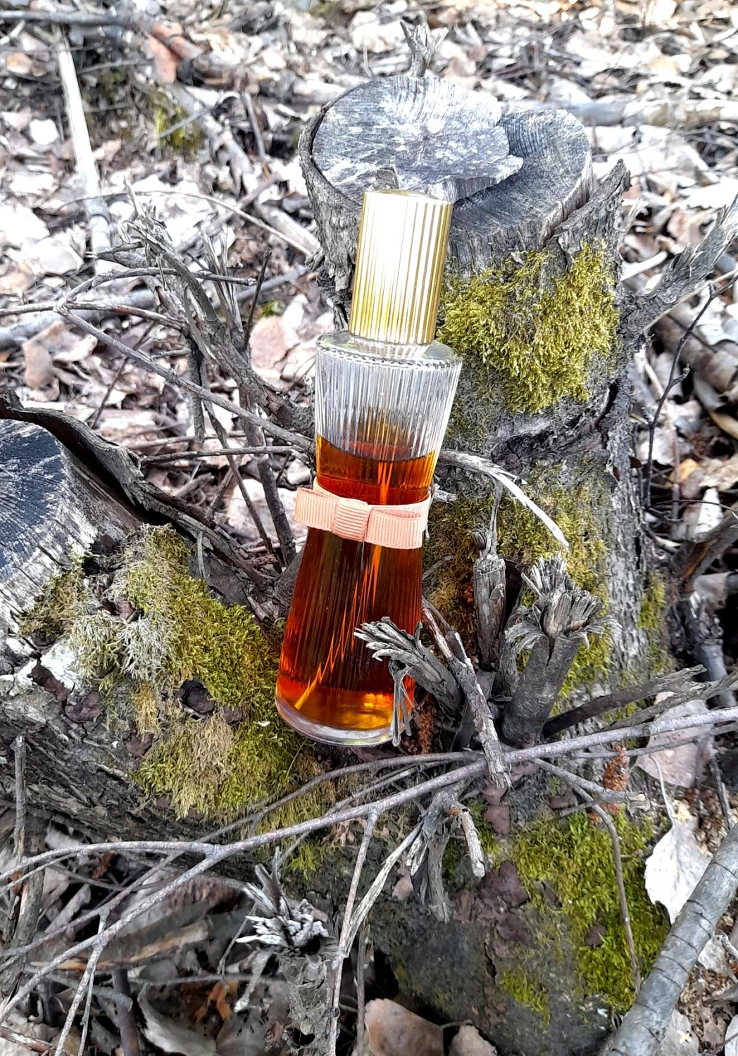 Estée Lauder Youth Dew Amber Nude