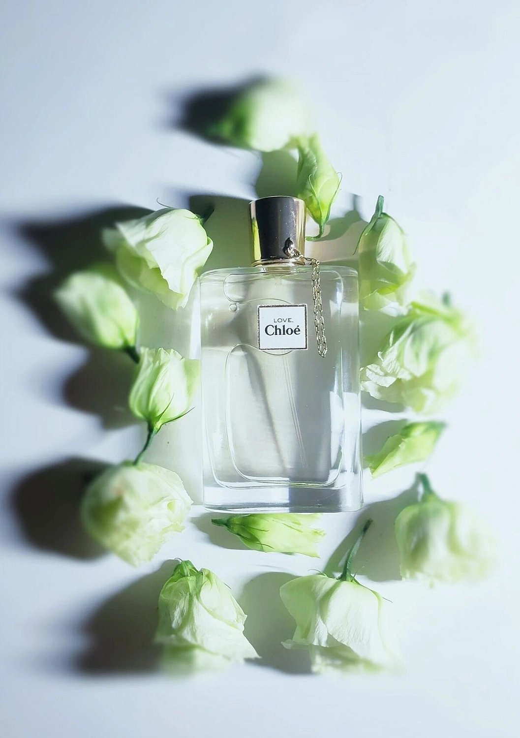 Chloé Love Eau Florale