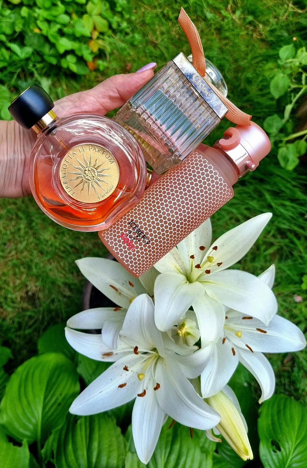 Chloé Rose Tangerine