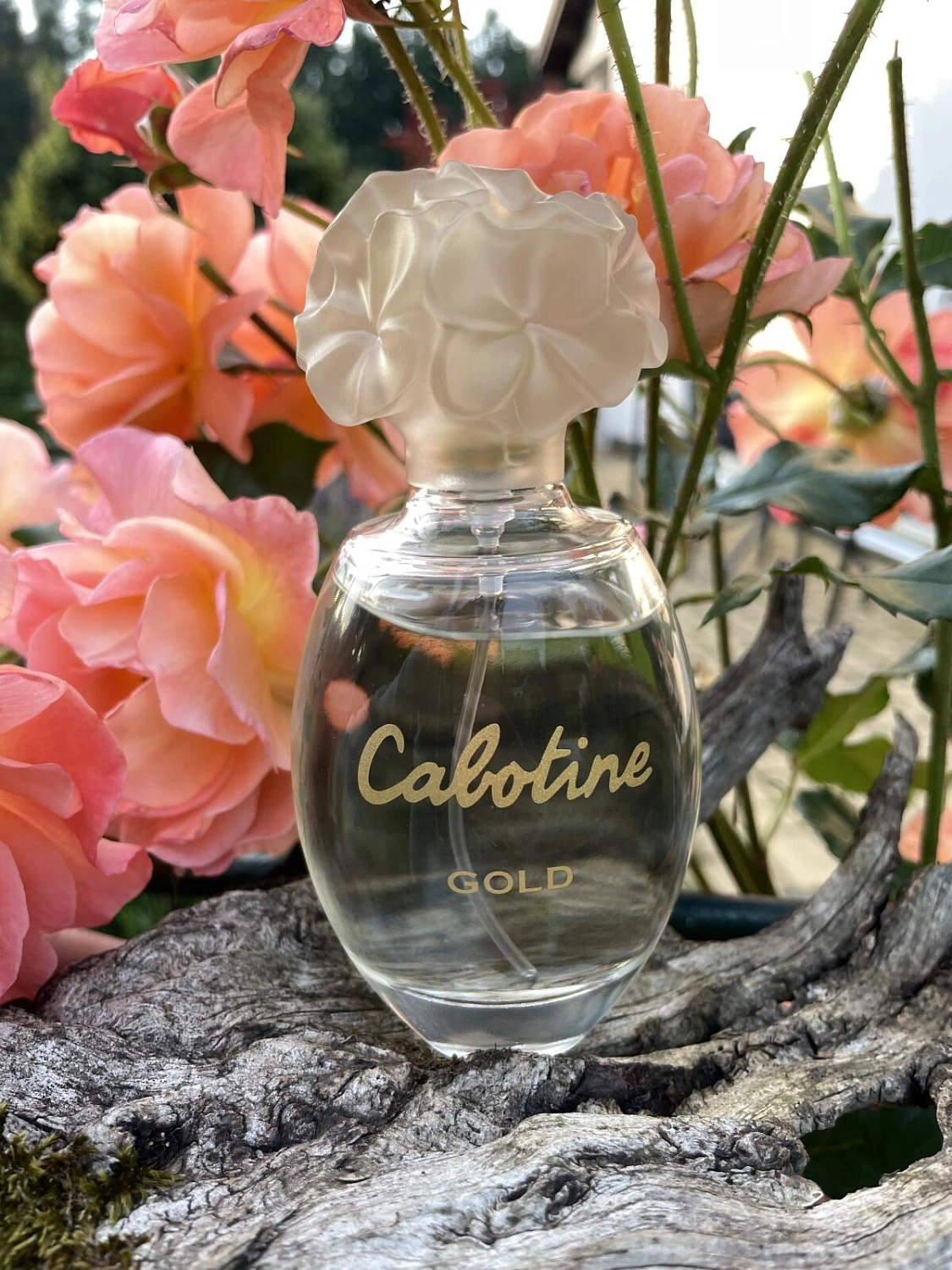 Grès Cabotine Gold