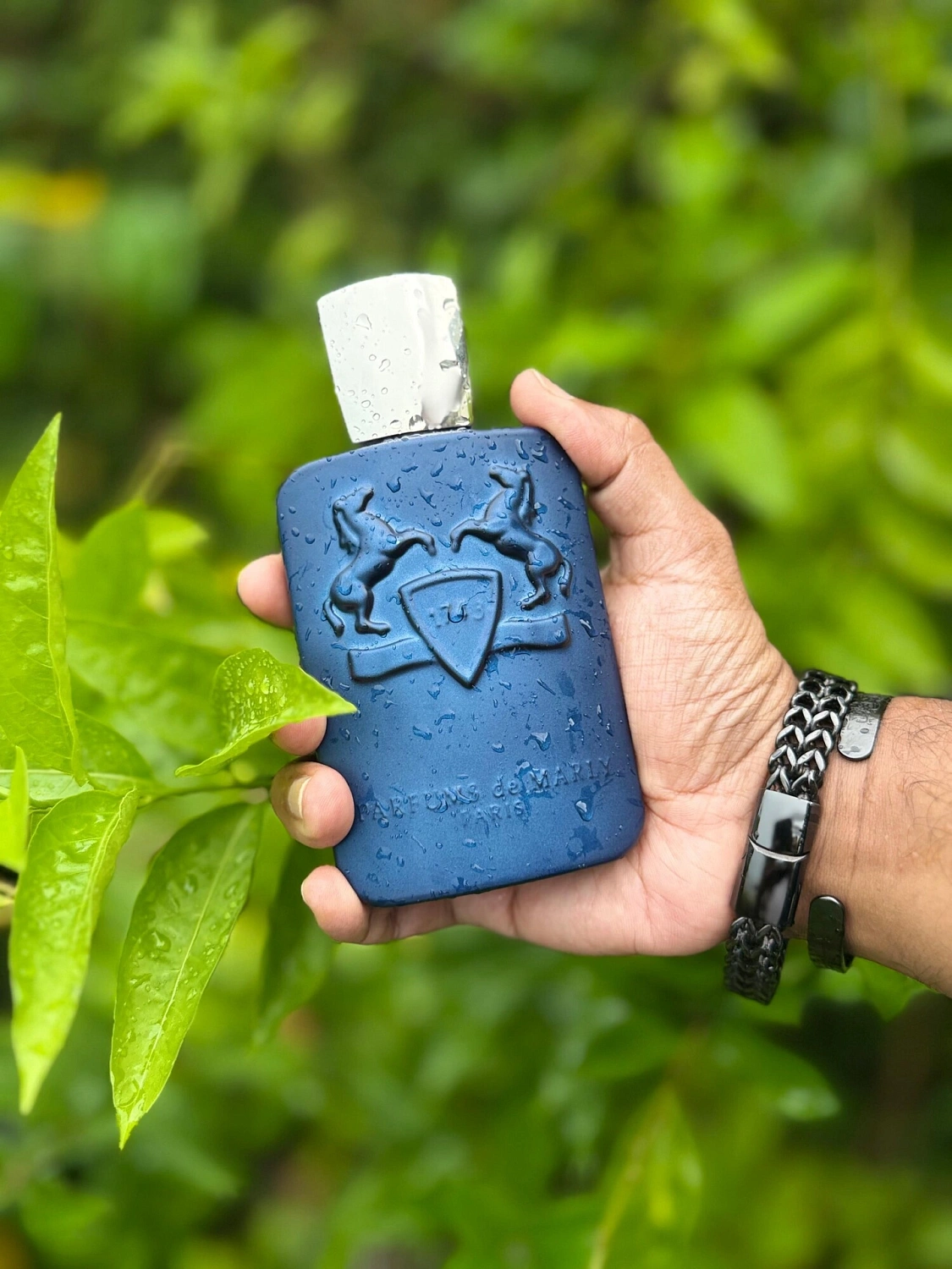 Gisada Ambassador Intense