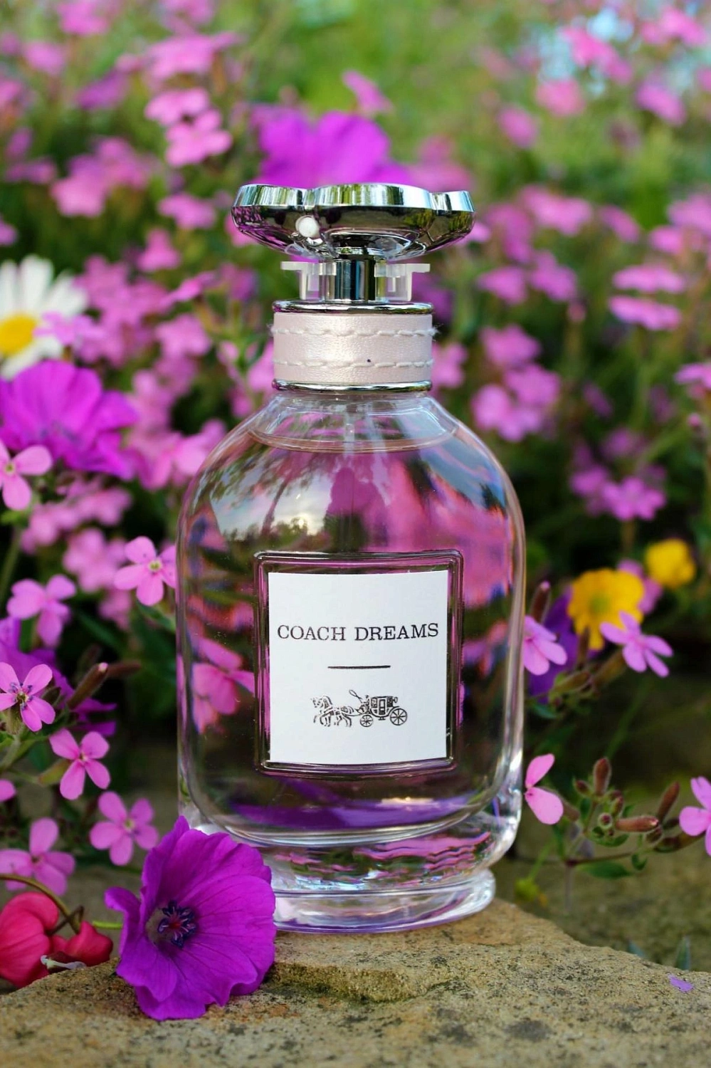Coach Dreams