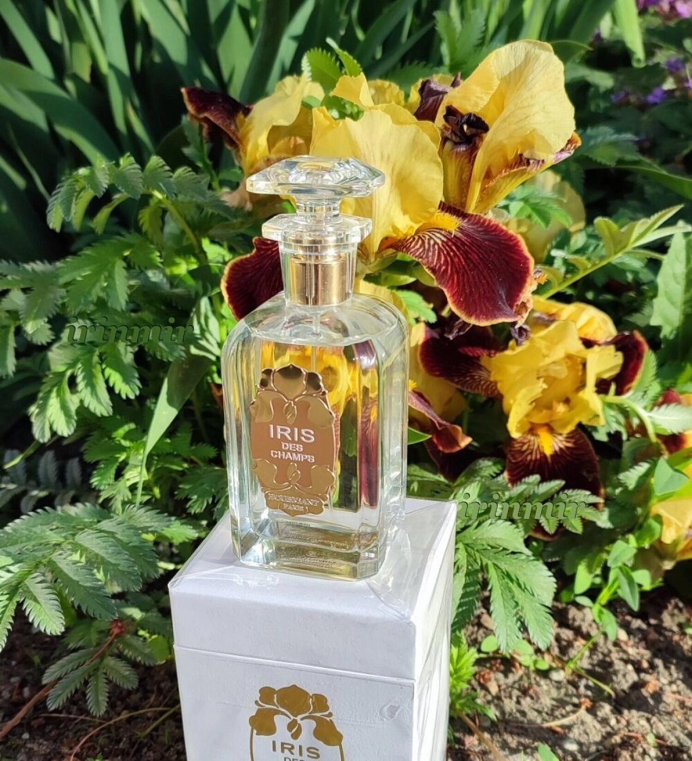 Houbigant Iris des Champs