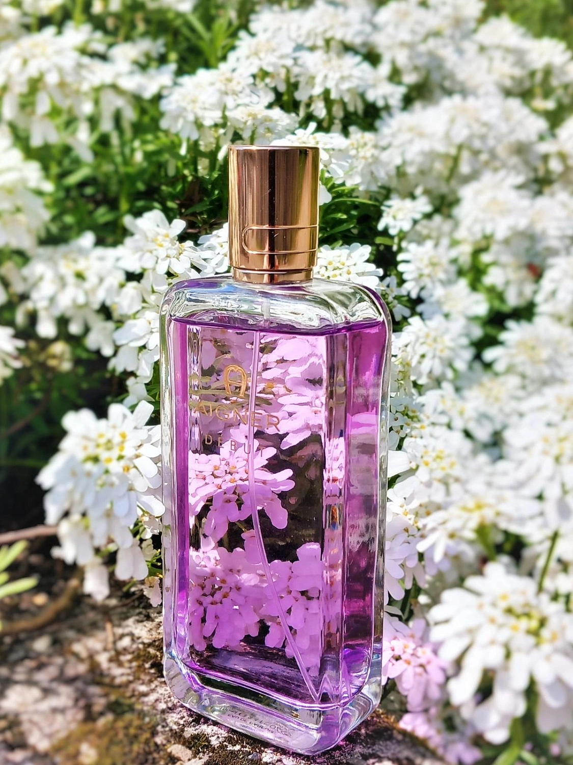 Aigner Debut