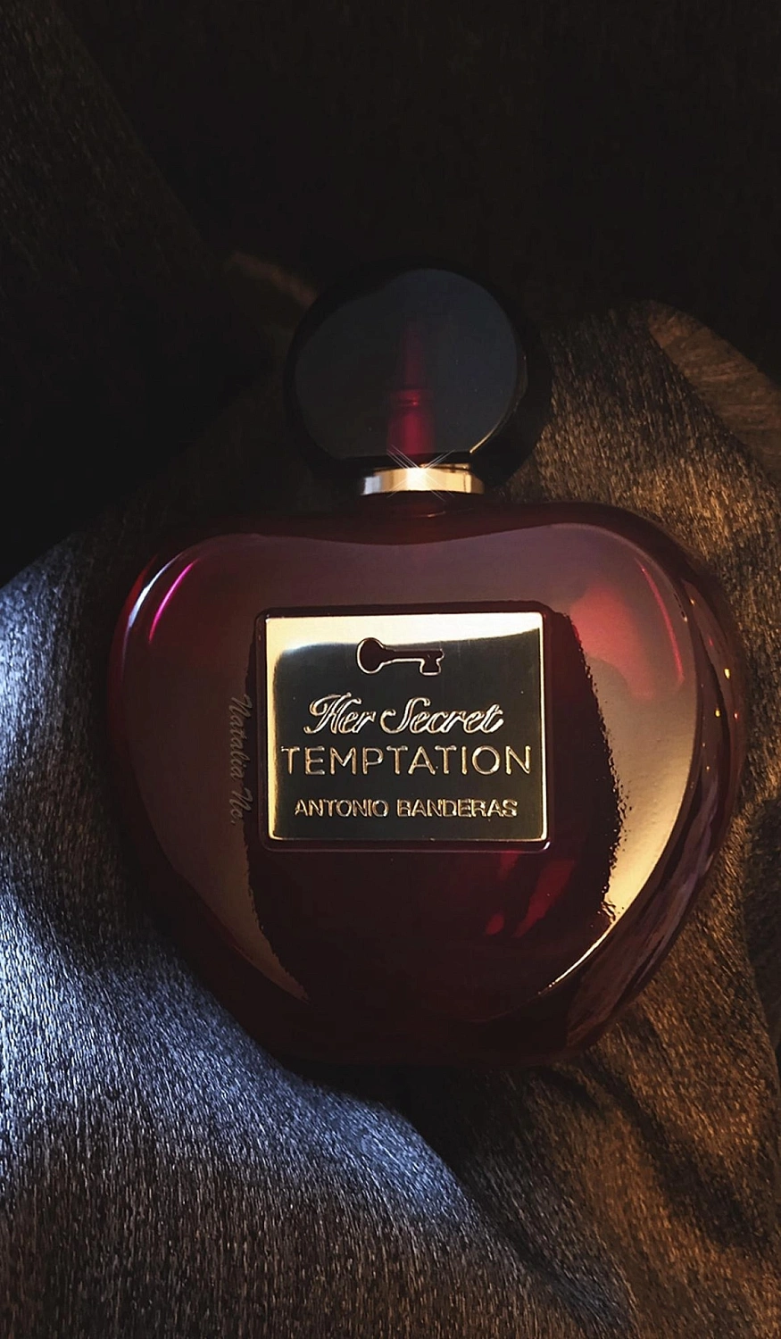Antonio Banderas Her Secret Temptation