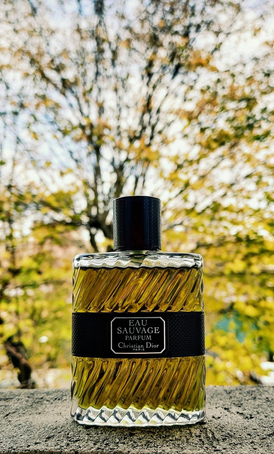 Christian Dior Eau Sauvage Parfum