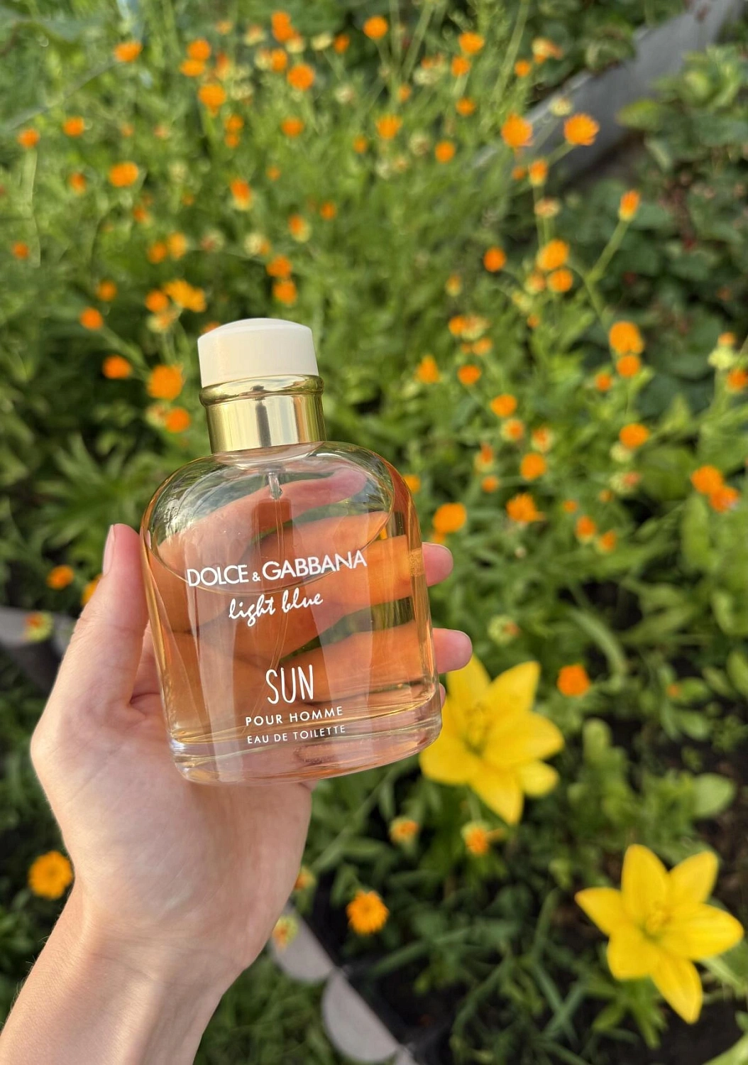 Dolce & Gabbana Light Blue Sun Pour Homme