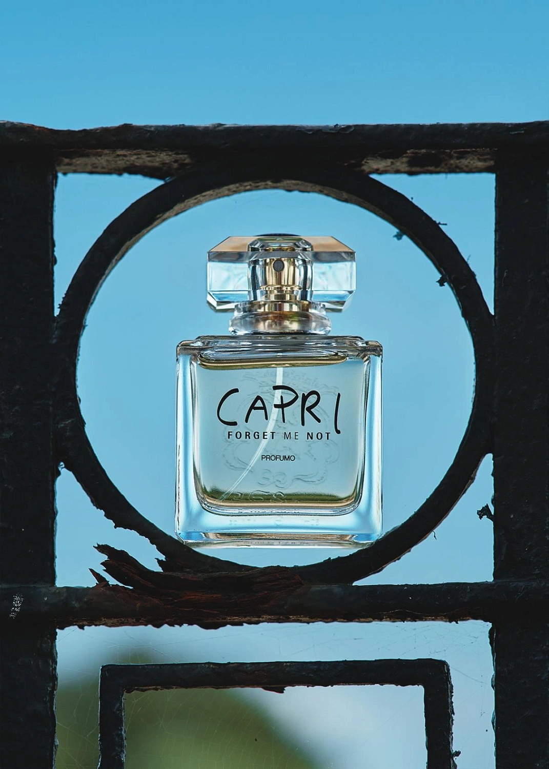 Carthusia Capri Forget Me Not