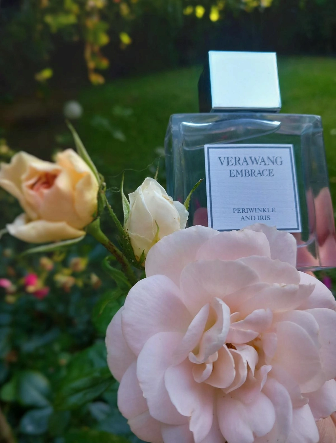 Vera Wang Embrace Periwinkle & Iris