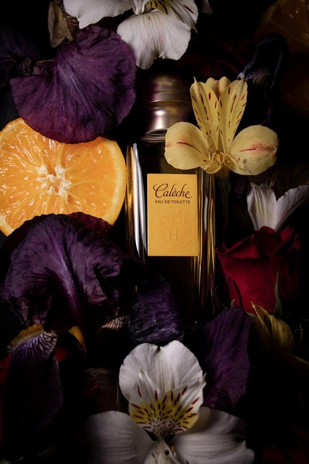 Hermès Caleche