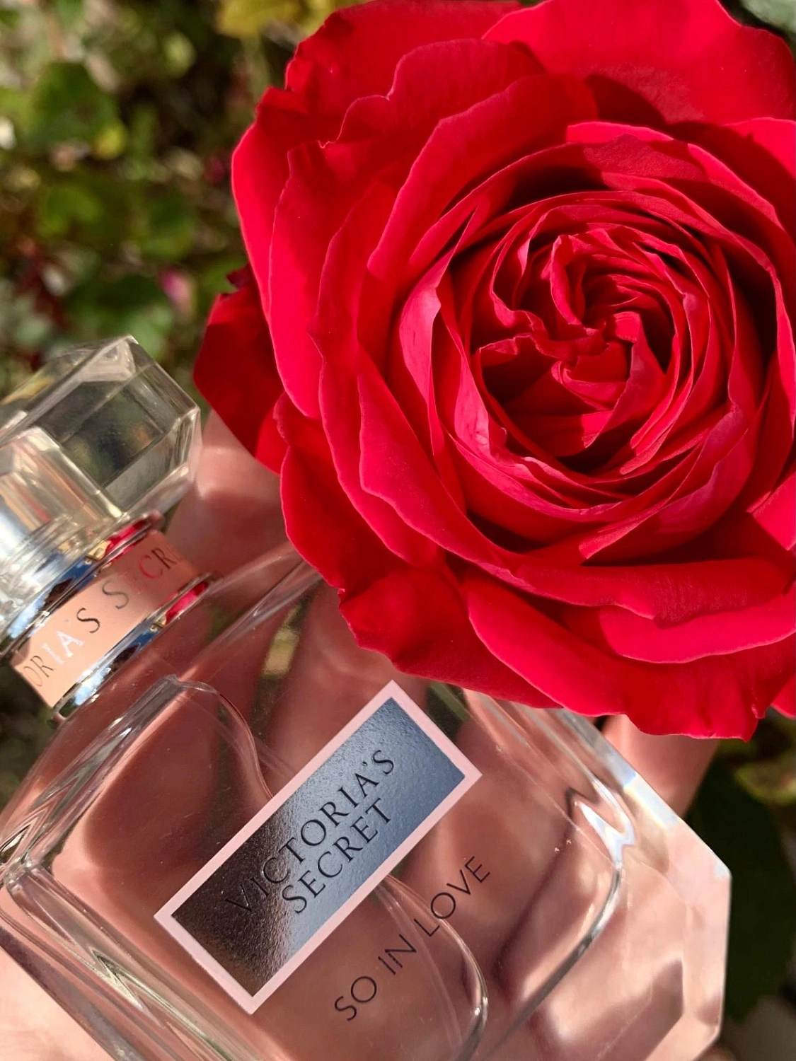 Victoria's Secret So In Love