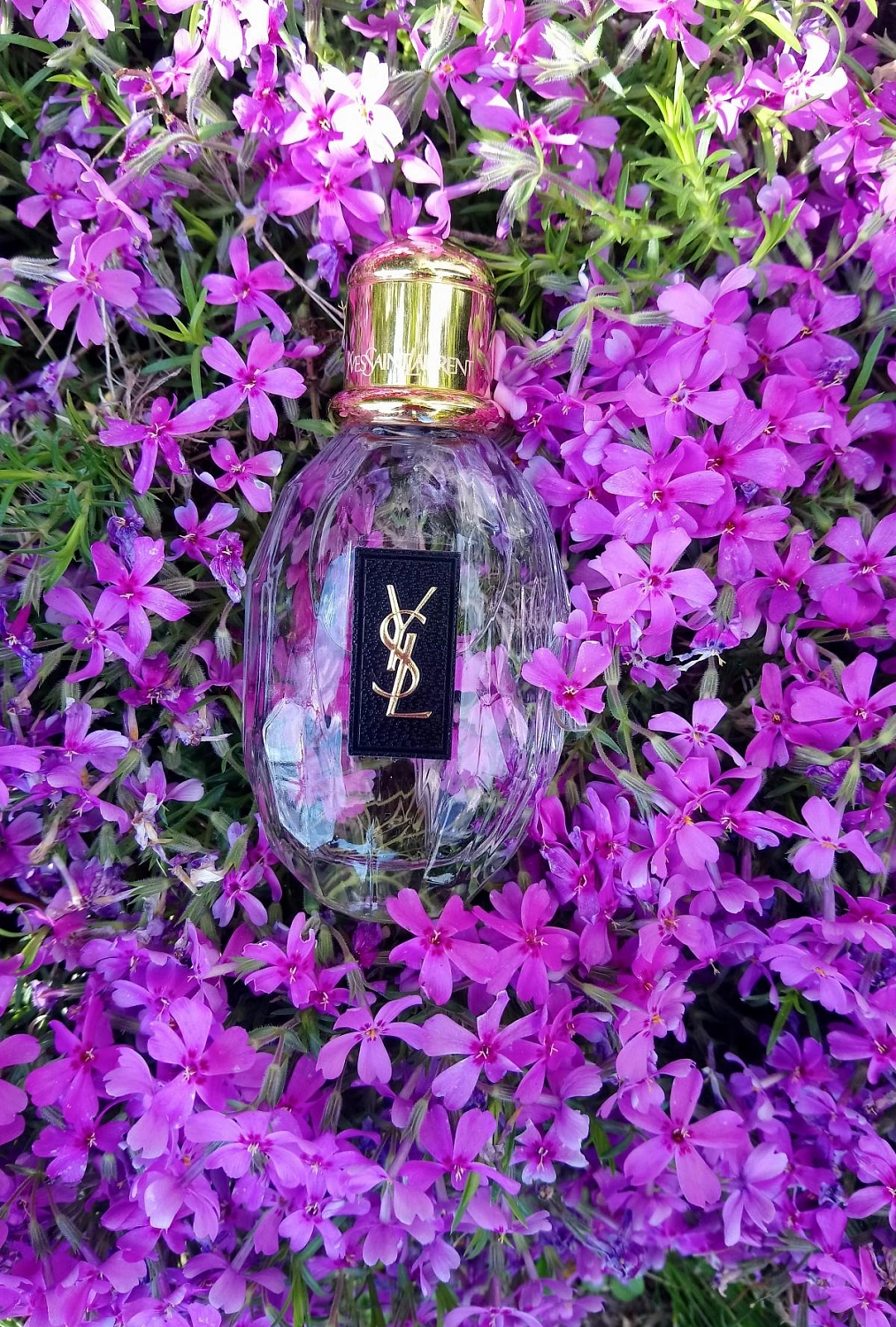 Yves Saint Laurent Parisienne
