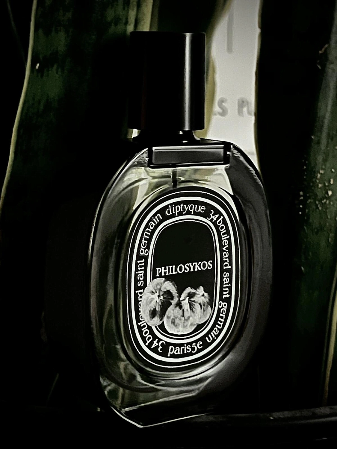 Diptyque Philosykos